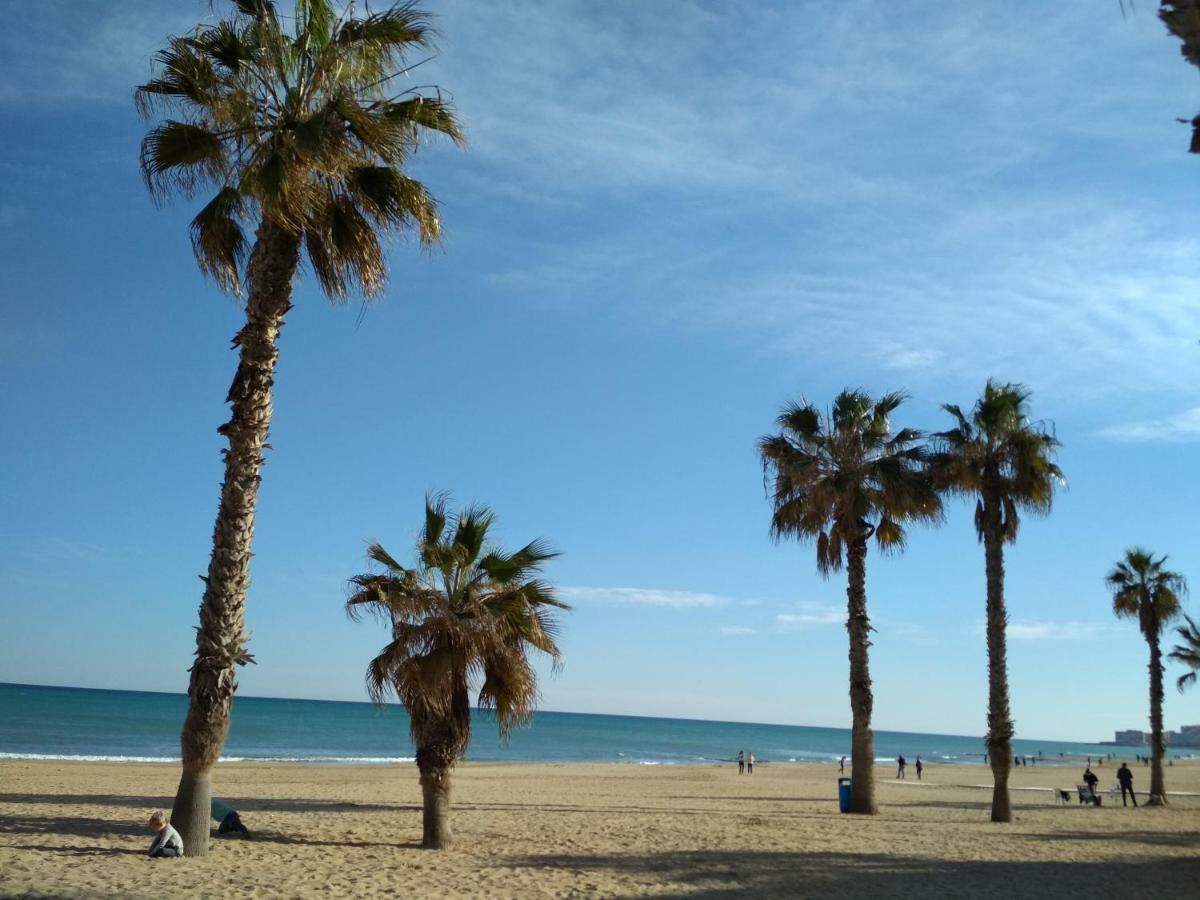 Apartment Sunny La Mata La Mata  Bagian luar foto